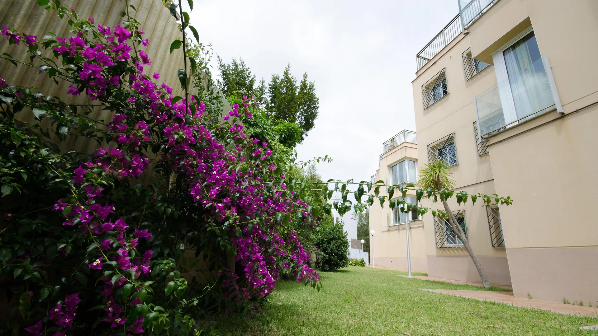 Apart-hotel Apartaments Els Llorers Lloret de Mar